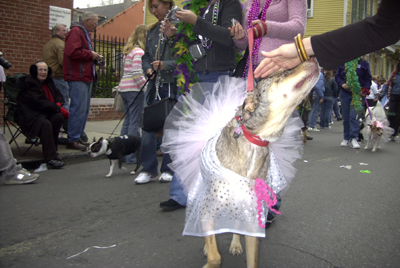 kreweofbarkus2006_00859