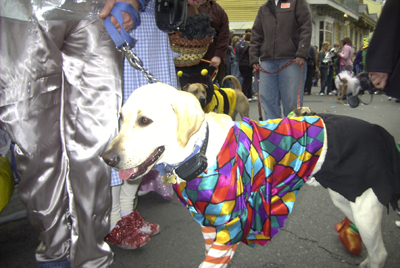 kreweofbarkus2006_00860