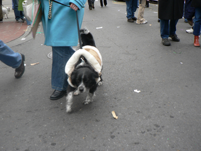 kreweofbarkus2006_00866