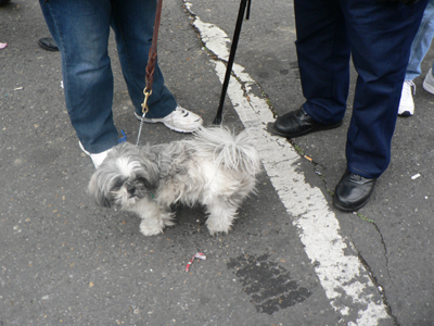 kreweofbarkus2006_00868