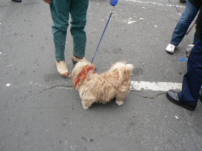 kreweofbarkus2006_00872