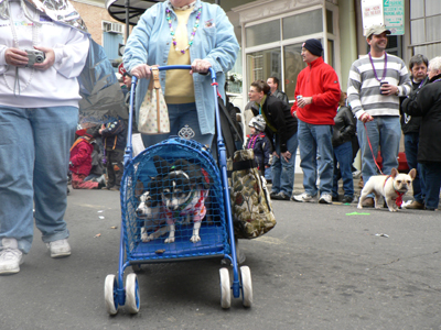 kreweofbarkus2006_00879