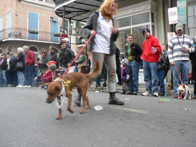 kreweofbarkus2006_00883