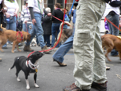 kreweofbarkus2006_00885