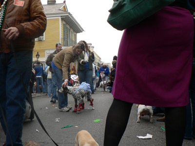 kreweofbarkus2006_00894