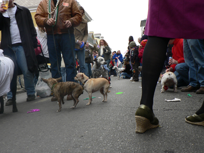 kreweofbarkus2006_00895