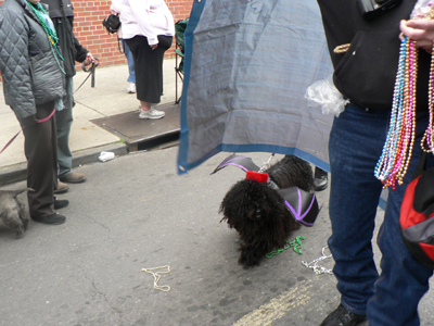 kreweofbarkus2006_00903