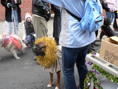 kreweofbarkus2006_00904