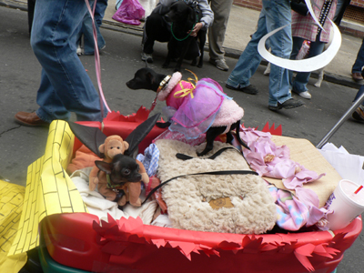 kreweofbarkus2006_00908