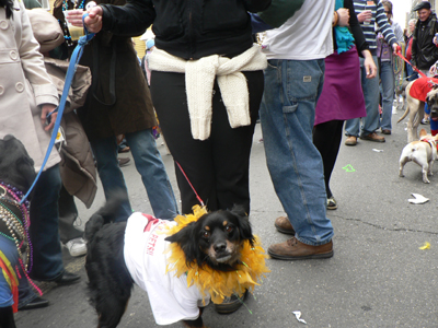 kreweofbarkus2006_00911