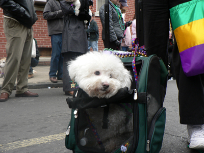 kreweofbarkus2006_00916