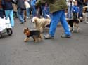 kreweofbarkus2006_00697