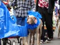 kreweofbarkus2006_00731