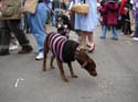 kreweofbarkus2006_00748