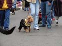 kreweofbarkus2006_00749