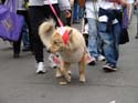 kreweofbarkus2006_00771