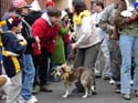 kreweofbarkus2006_00773