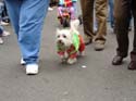 kreweofbarkus2006_00774