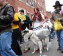 kreweofbarkus2006_00782