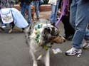 kreweofbarkus2006_00786