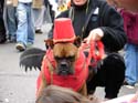 kreweofbarkus2006_00790