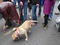 kreweofbarkus2006_00889