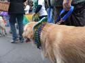 kreweofbarkus2006_00896