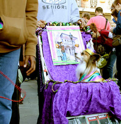 MYSTIC_KREWE_OF_BARKUS_2007_PARADE_PICTURES_0560