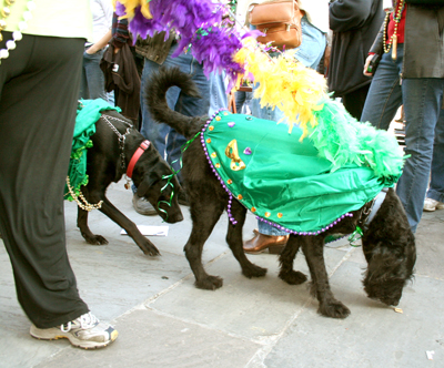 MYSTIC_KREWE_OF_BARKUS_2007_PARADE_PICTURES_0563