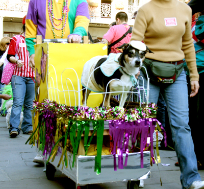 MYSTIC_KREWE_OF_BARKUS_2007_PARADE_PICTURES_0564