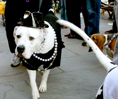 MYSTIC_KREWE_OF_BARKUS_2007_PARADE_PICTURES_0568