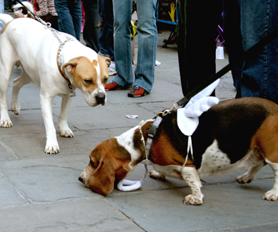 MYSTIC_KREWE_OF_BARKUS_2007_PARADE_PICTURES_0569