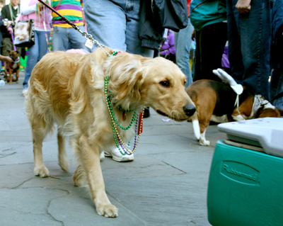 MYSTIC_KREWE_OF_BARKUS_2007_PARADE_PICTURES_0570