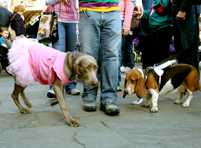 MYSTIC_KREWE_OF_BARKUS_2007_PARADE_PICTURES_0571