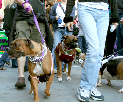 MYSTIC_KREWE_OF_BARKUS_2007_PARADE_PICTURES_0573