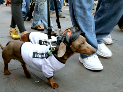 MYSTIC_KREWE_OF_BARKUS_2007_PARADE_PICTURES_0575