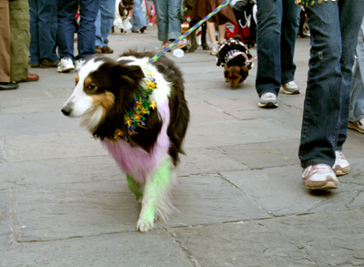 MYSTIC_KREWE_OF_BARKUS_2007_PARADE_PICTURES_0577