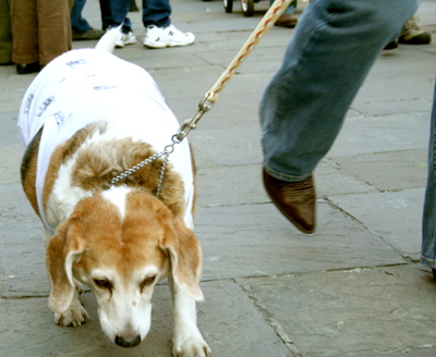 MYSTIC_KREWE_OF_BARKUS_2007_PARADE_PICTURES_0583