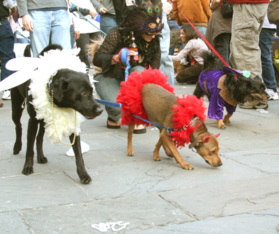 MYSTIC_KREWE_OF_BARKUS_2007_PARADE_PICTURES_0585