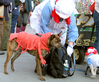 MYSTIC_KREWE_OF_BARKUS_2007_PARADE_PICTURES_0592