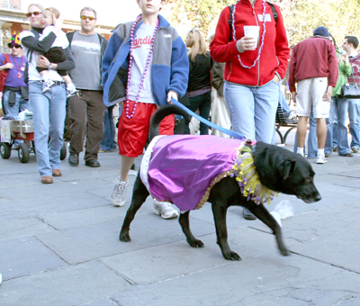 MYSTIC_KREWE_OF_BARKUS_2007_PARADE_PICTURES_0598