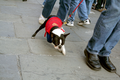 MYSTIC_KREWE_OF_BARKUS_2007_PARADE_PICTURES_0602