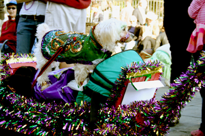 MYSTIC_KREWE_OF_BARKUS_2007_PARADE_PICTURES_0606