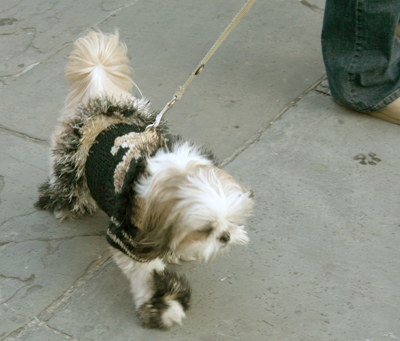 MYSTIC_KREWE_OF_BARKUS_2007_PARADE_PICTURES_0608