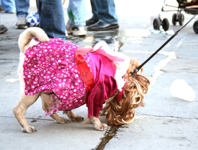 MYSTIC_KREWE_OF_BARKUS_2007_PARADE_PICTURES_0609