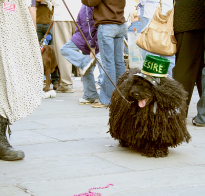 MYSTIC_KREWE_OF_BARKUS_2007_PARADE_PICTURES_0610