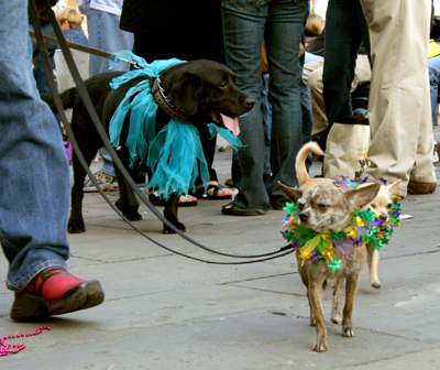 MYSTIC_KREWE_OF_BARKUS_2007_PARADE_PICTURES_0611