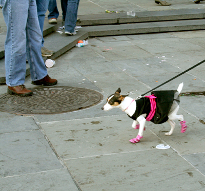 MYSTIC_KREWE_OF_BARKUS_2007_PARADE_PICTURES_0614