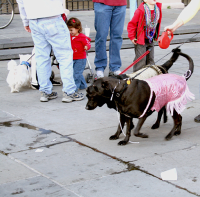 MYSTIC_KREWE_OF_BARKUS_2007_PARADE_PICTURES_0615