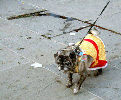 MYSTIC_KREWE_OF_BARKUS_2007_PARADE_PICTURES_0616